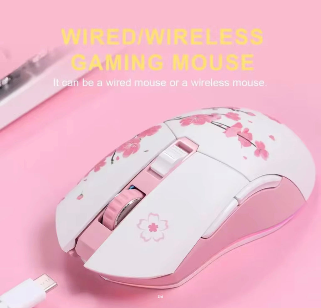 Souris de jeu filaire